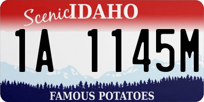 ID license plate 1A1145M