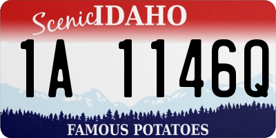 ID license plate 1A1146Q