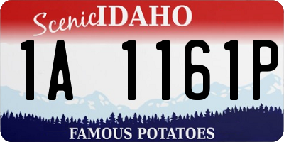 ID license plate 1A1161P