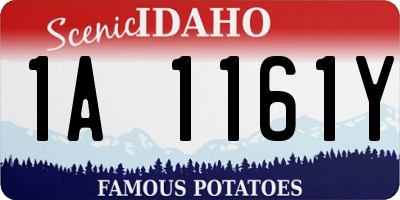 ID license plate 1A1161Y