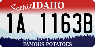 ID license plate 1A1163B