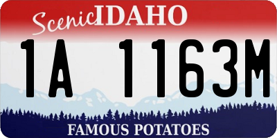ID license plate 1A1163M
