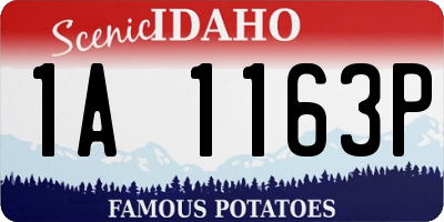 ID license plate 1A1163P