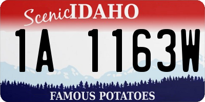 ID license plate 1A1163W