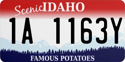 ID license plate 1A1163Y