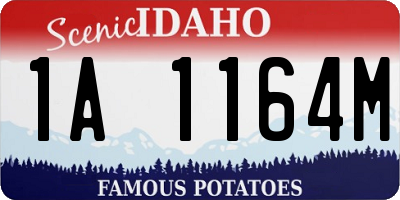 ID license plate 1A1164M