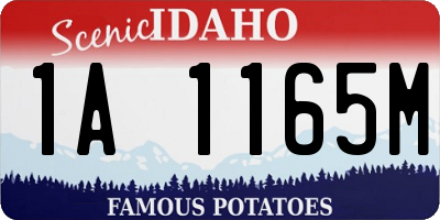 ID license plate 1A1165M