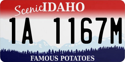 ID license plate 1A1167M