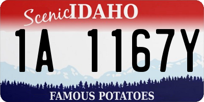 ID license plate 1A1167Y