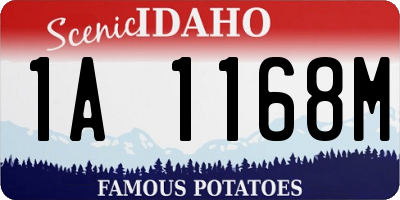 ID license plate 1A1168M