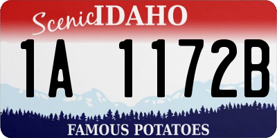 ID license plate 1A1172B