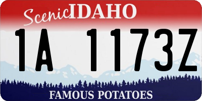 ID license plate 1A1173Z