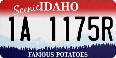 ID license plate 1A1175R