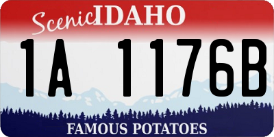 ID license plate 1A1176B
