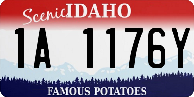 ID license plate 1A1176Y