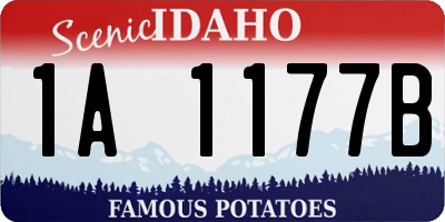 ID license plate 1A1177B