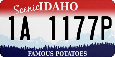 ID license plate 1A1177P