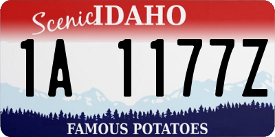 ID license plate 1A1177Z