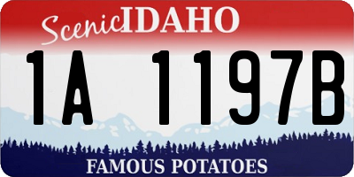 ID license plate 1A1197B