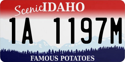 ID license plate 1A1197M