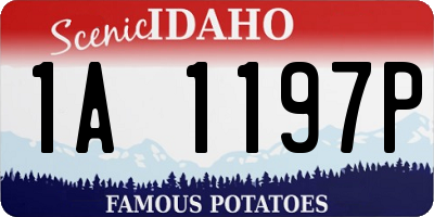 ID license plate 1A1197P