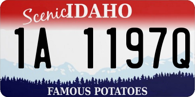 ID license plate 1A1197Q