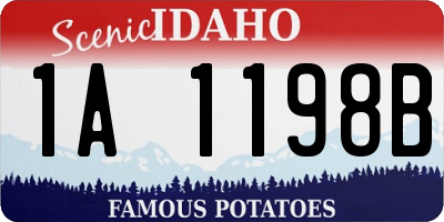 ID license plate 1A1198B