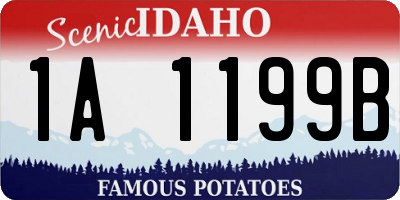 ID license plate 1A1199B