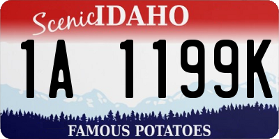ID license plate 1A1199K