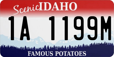 ID license plate 1A1199M