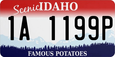 ID license plate 1A1199P