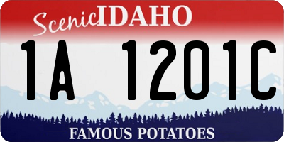 ID license plate 1A1201C