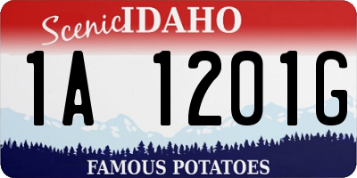 ID license plate 1A1201G