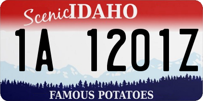 ID license plate 1A1201Z