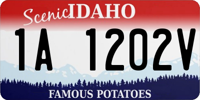 ID license plate 1A1202V