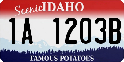 ID license plate 1A1203B
