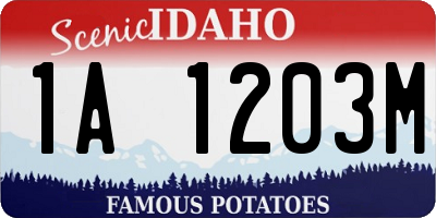ID license plate 1A1203M