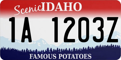 ID license plate 1A1203Z