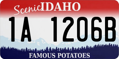 ID license plate 1A1206B