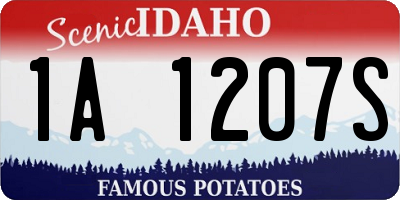 ID license plate 1A1207S