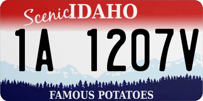 ID license plate 1A1207V
