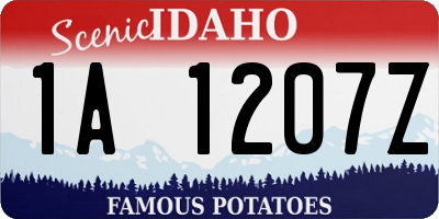 ID license plate 1A1207Z