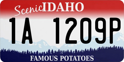 ID license plate 1A1209P