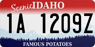 ID license plate 1A1209Z
