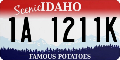 ID license plate 1A1211K