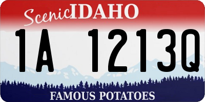 ID license plate 1A1213Q