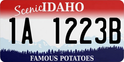 ID license plate 1A1223B