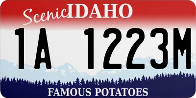 ID license plate 1A1223M