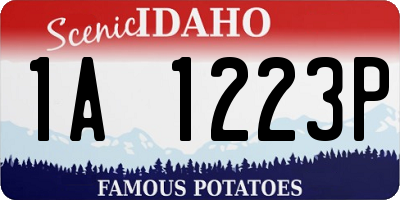 ID license plate 1A1223P