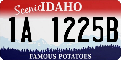 ID license plate 1A1225B